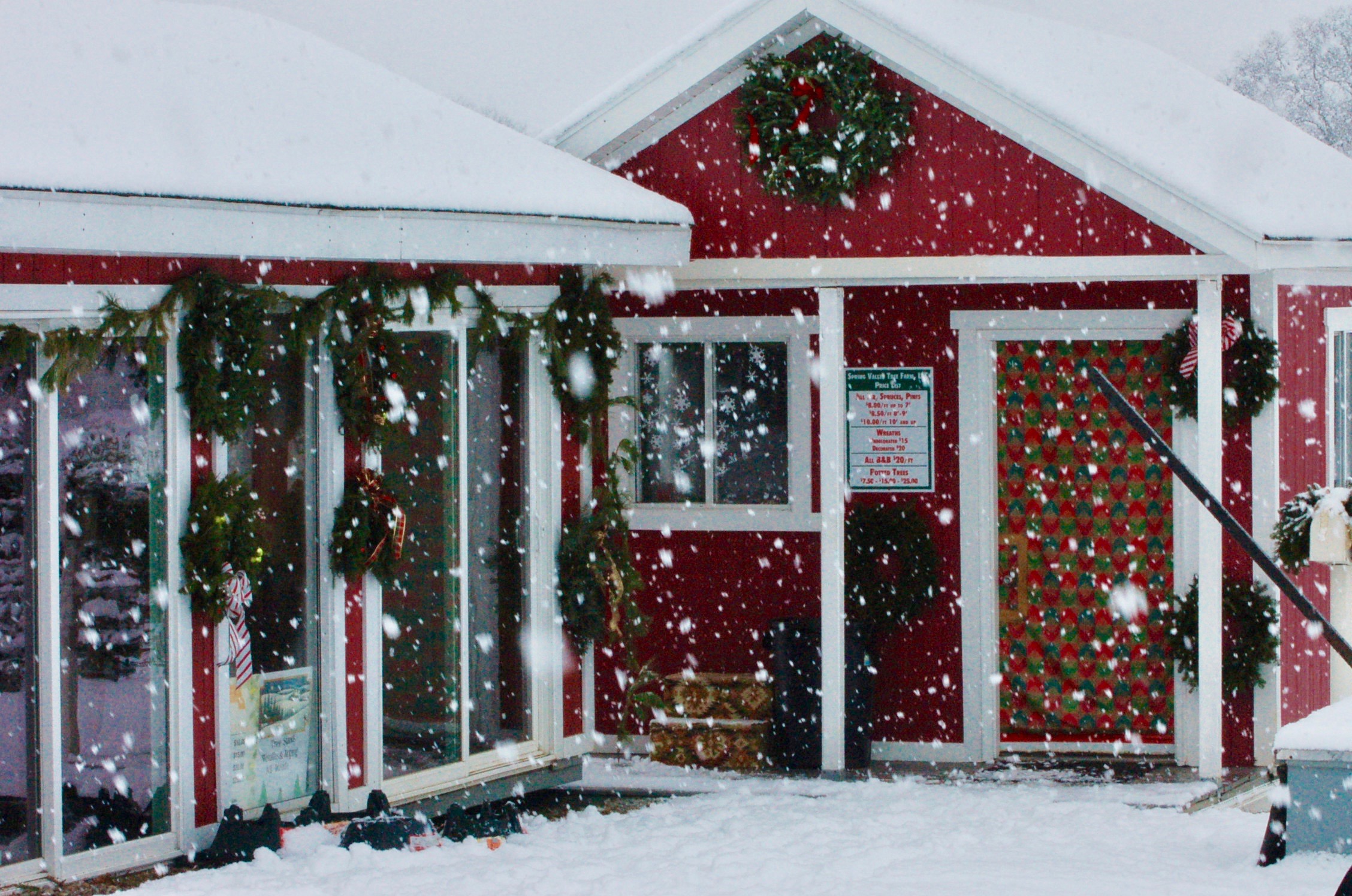 Spring Valley Tree Farm cabin in the snow